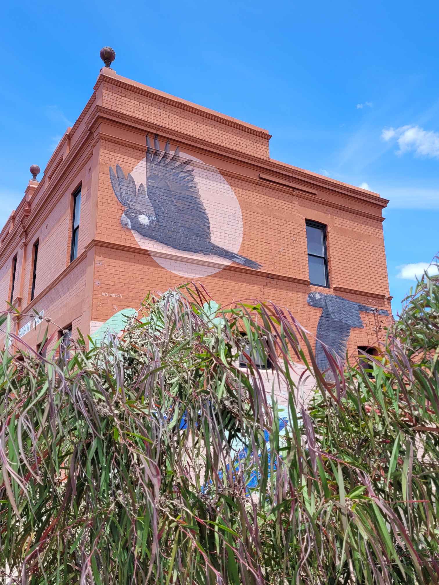 COLLIE TOWN MURAL TOUR