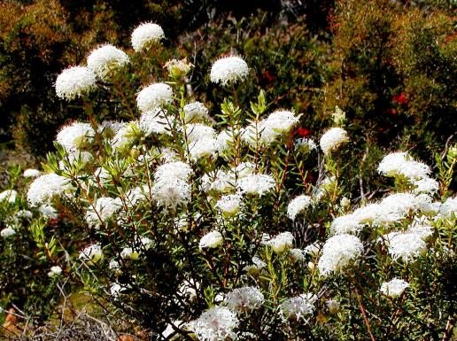 Southern Wheatbelt Wander Two Nights Three Days