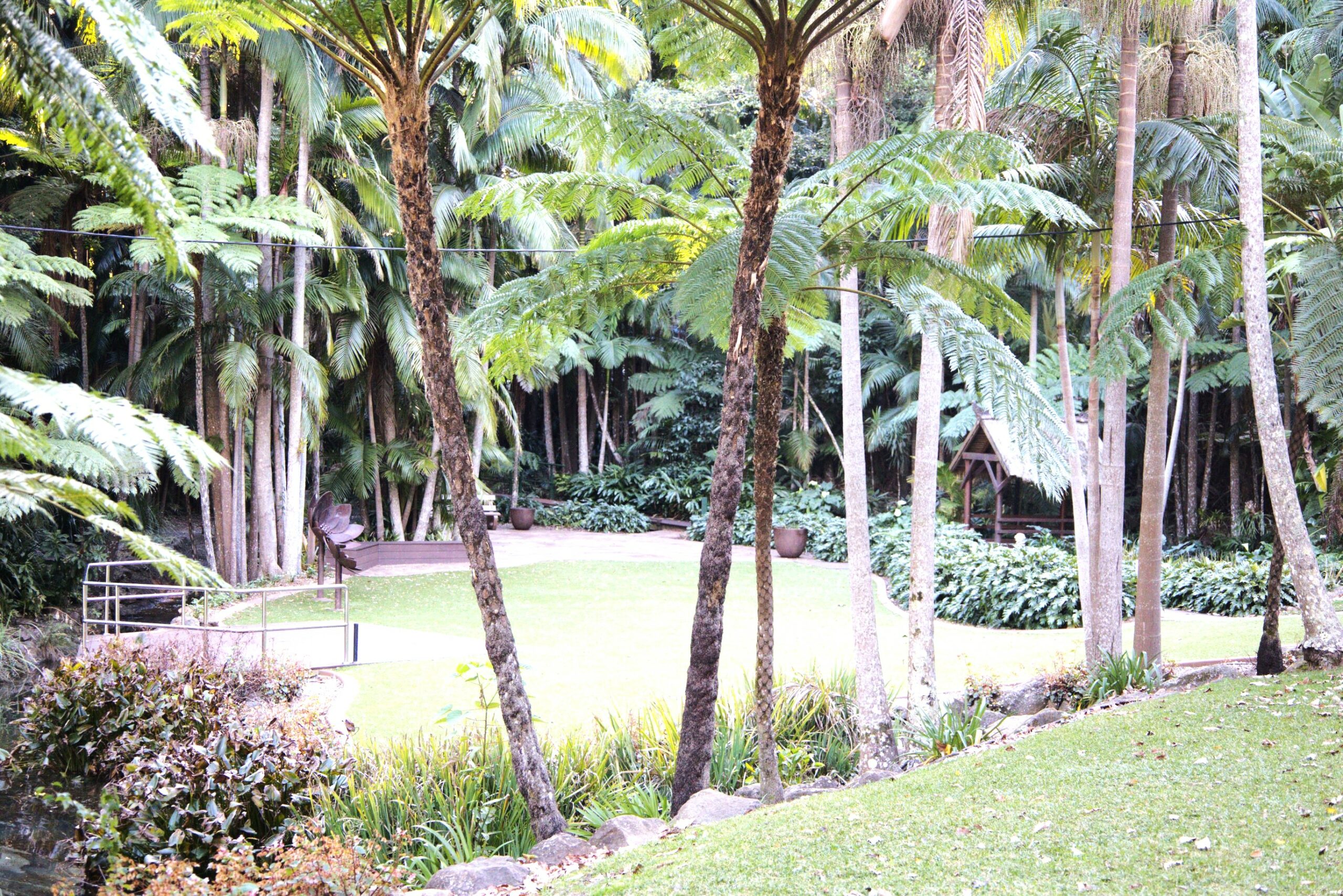 Secrets of Tamborine Mountain Day tour