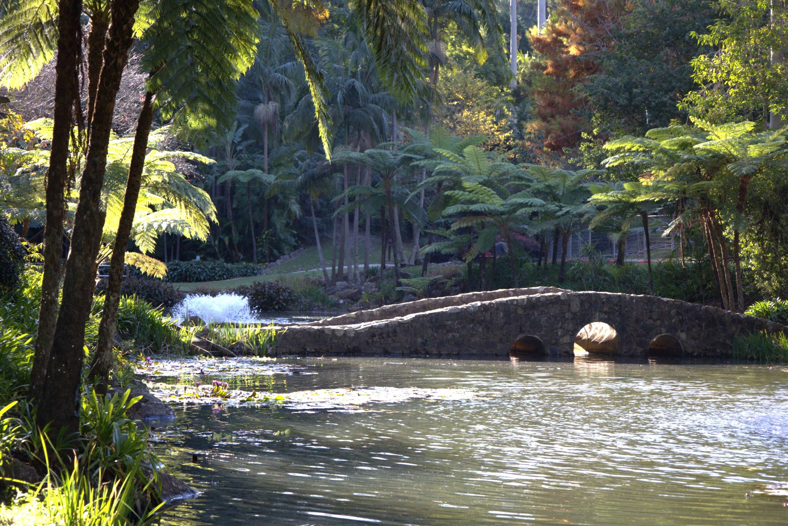 Secrets of Tamborine Mountain Day tour