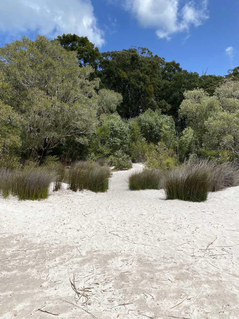 Best of the Fraser Island Great Walk (3N/4D)