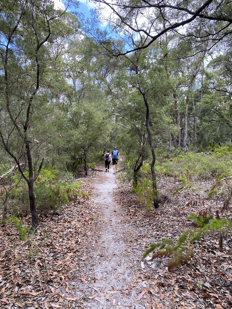 Best of the Fraser Island Great Walk (3N/4D)