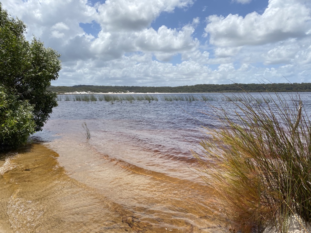 Best of the Fraser Island Great Walk (3N/4D)