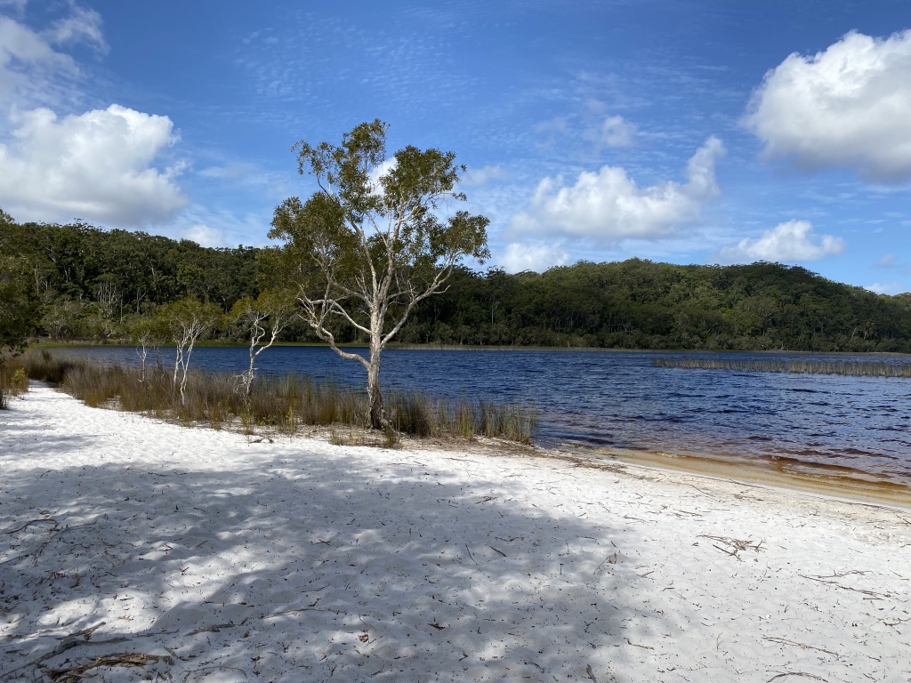 Best of the Fraser Island Great Walk (3N/4D)