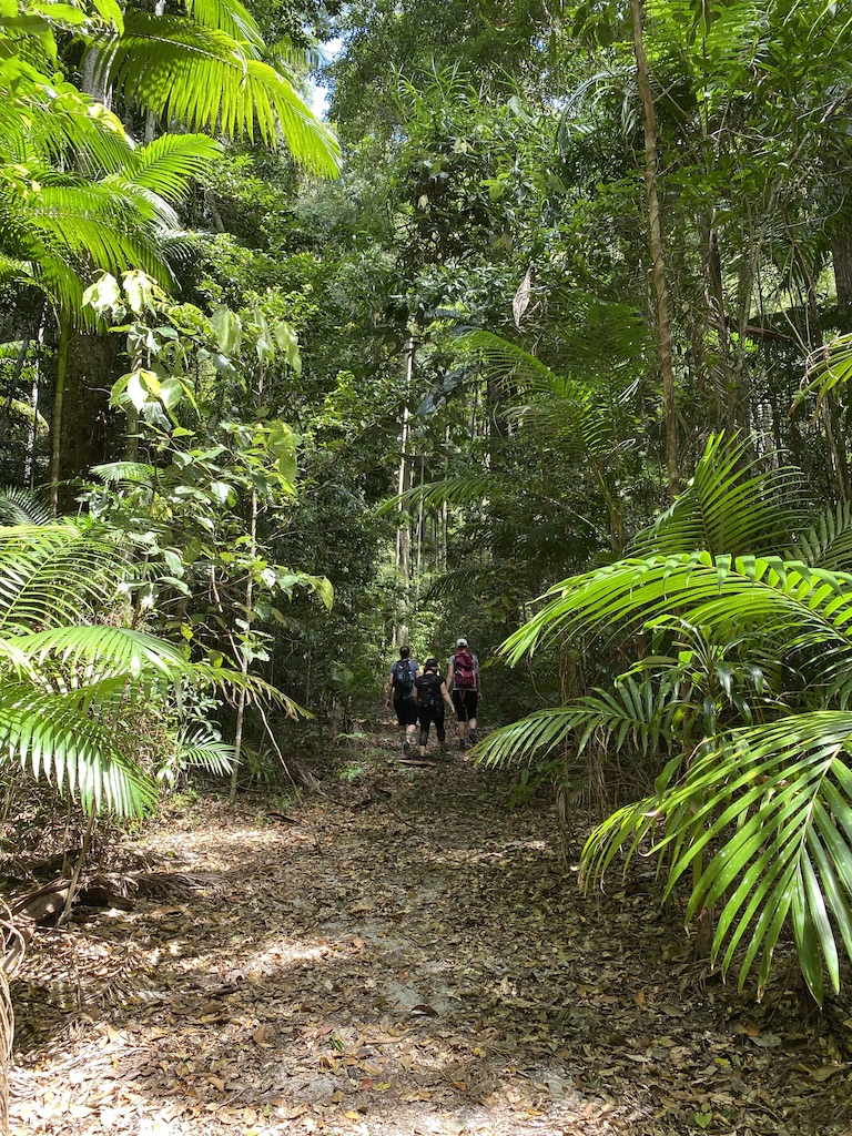 Best of the Fraser Island Great Walk (3N/4D)