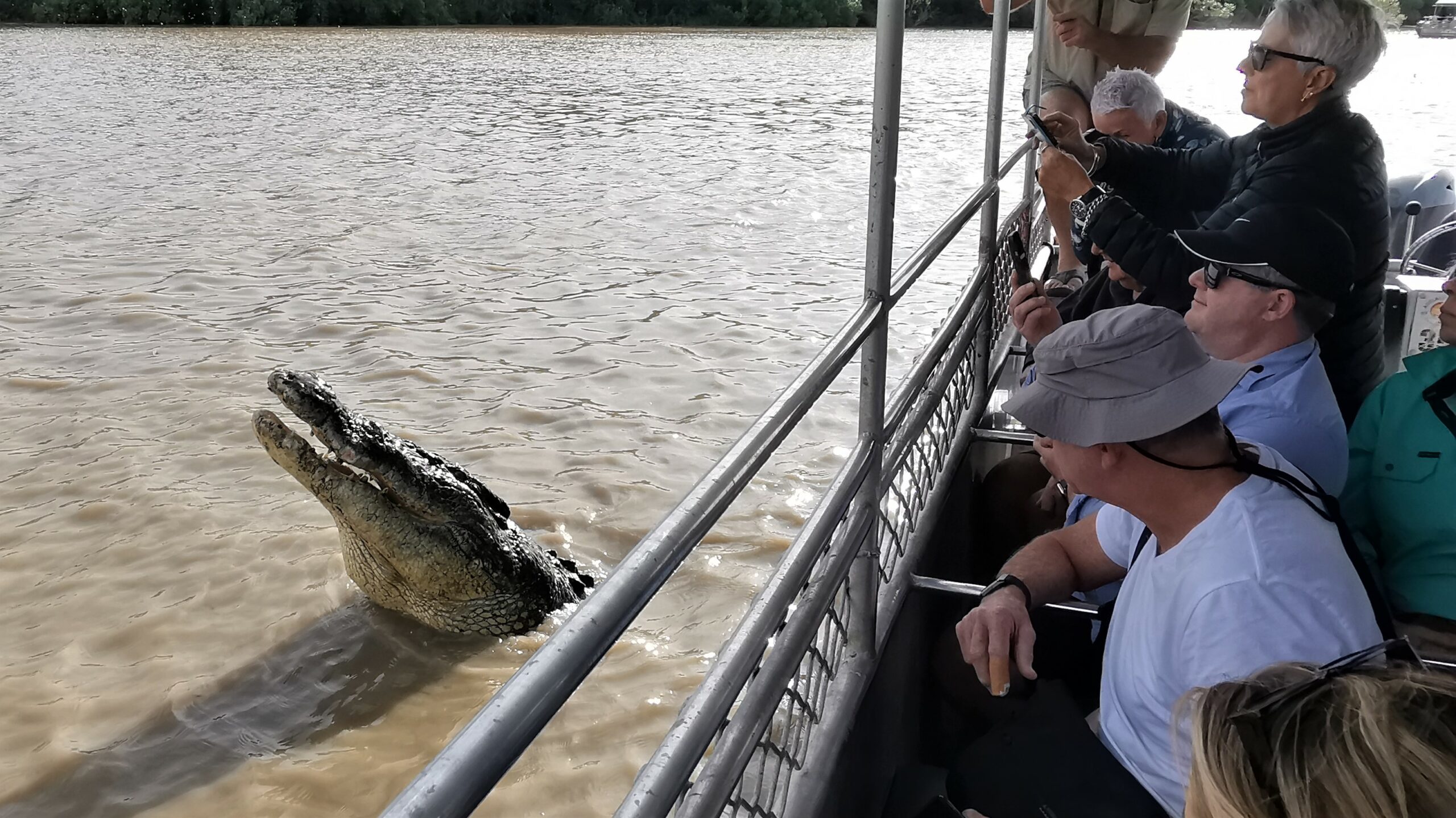 Jumping Crocodile Tour & Litchfield National Park, incl. lunch, 10 guests max