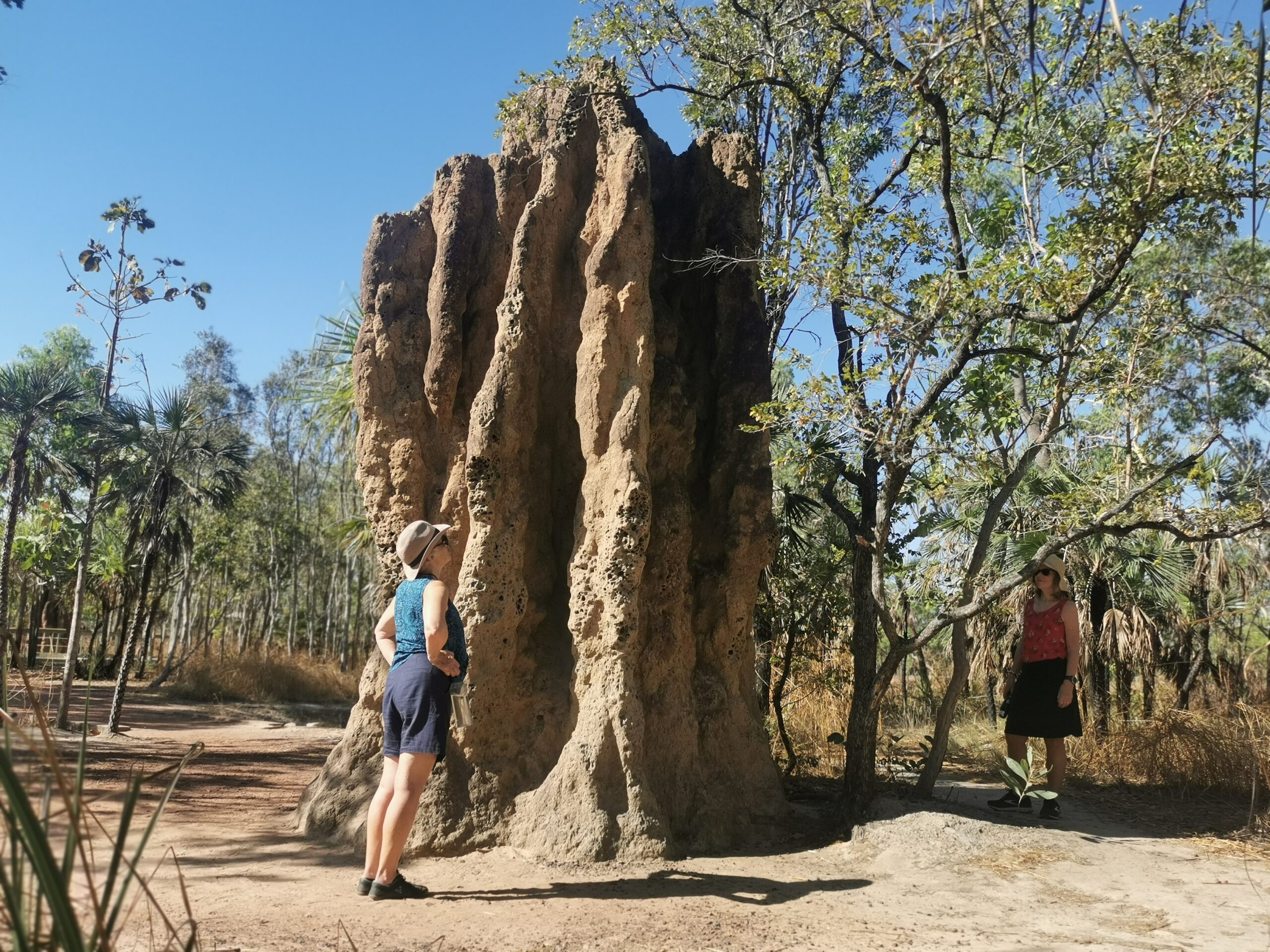 Litchfield N.P. & Jumping Crocodile Tour, 4WD, 6 guests max