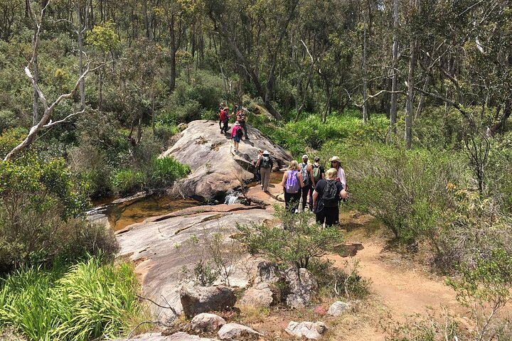 Kitty’s Gorge Hiking Experience