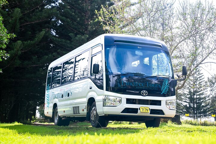 Island Orientation Tour with Airport Transfer Norfolk Island