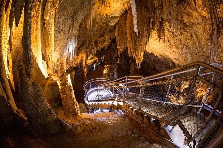 Full Day Tour to Hastings Caves, Tahune & Huon Valley in Tasmania