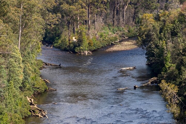 Full Day Tour to Hastings Caves, Tahune & Huon Valley in Tasmania