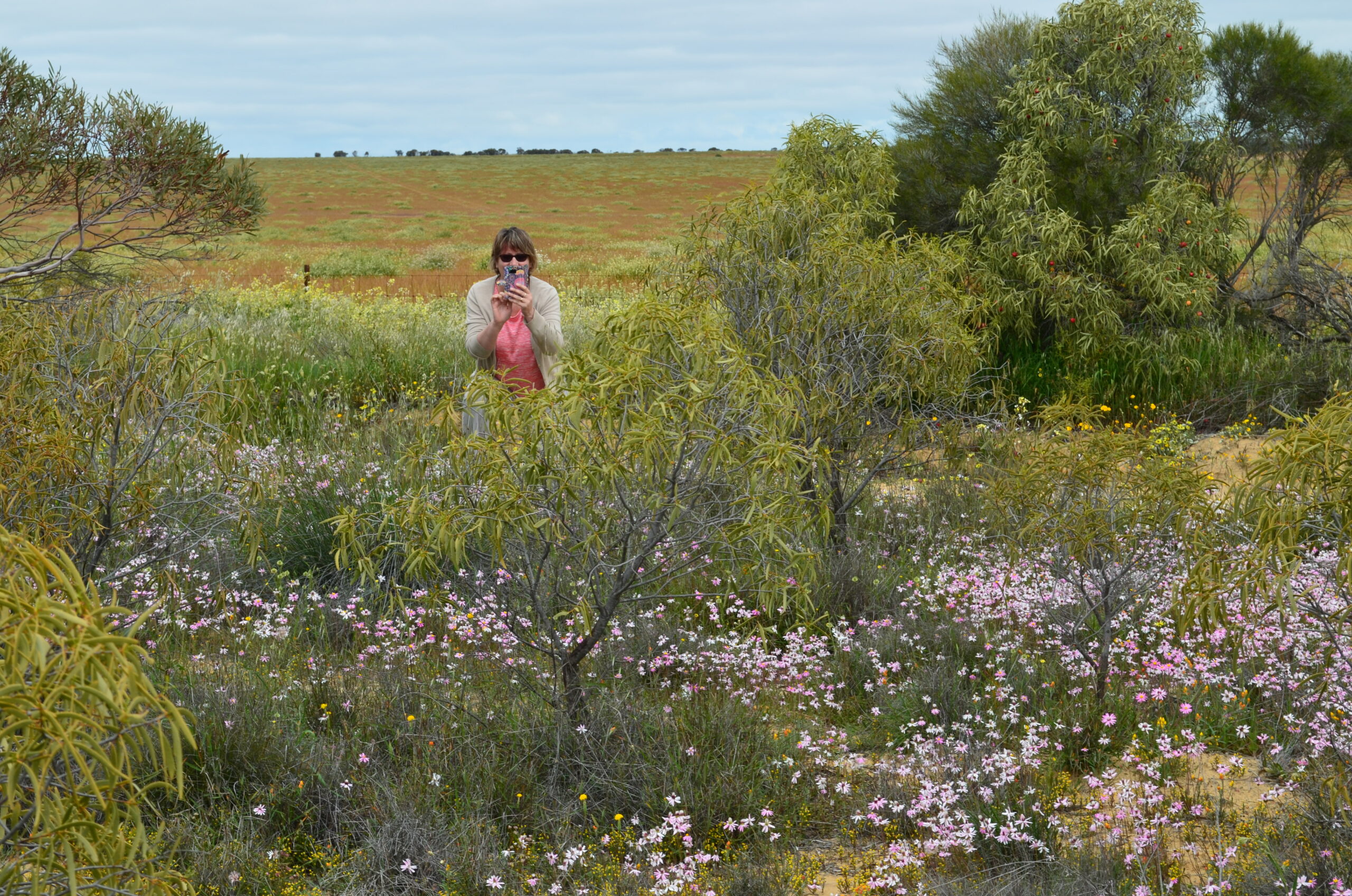 Southern Wheatbelt Wander Two Nights Three Days