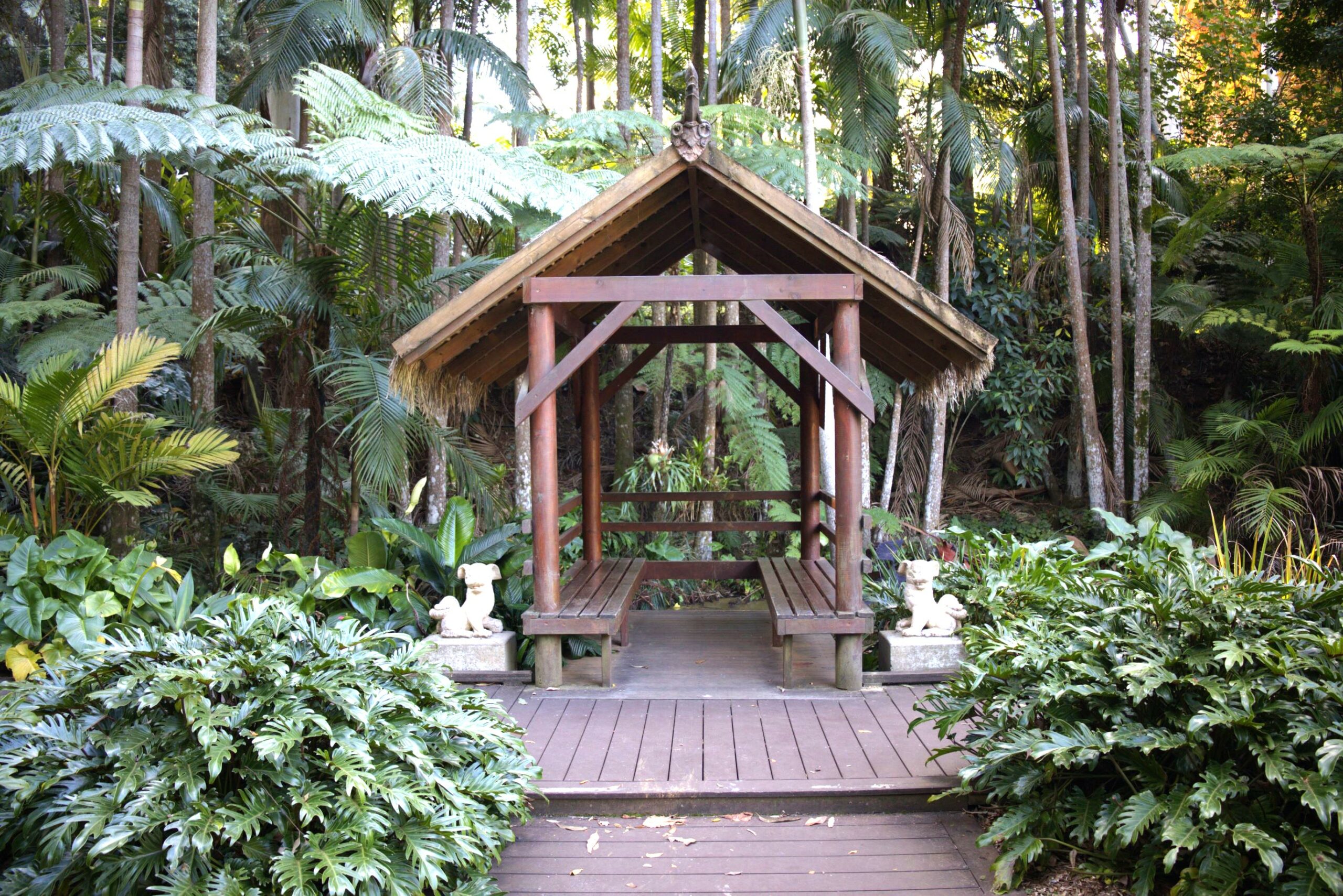 Secrets of Tamborine Mountain Day tour