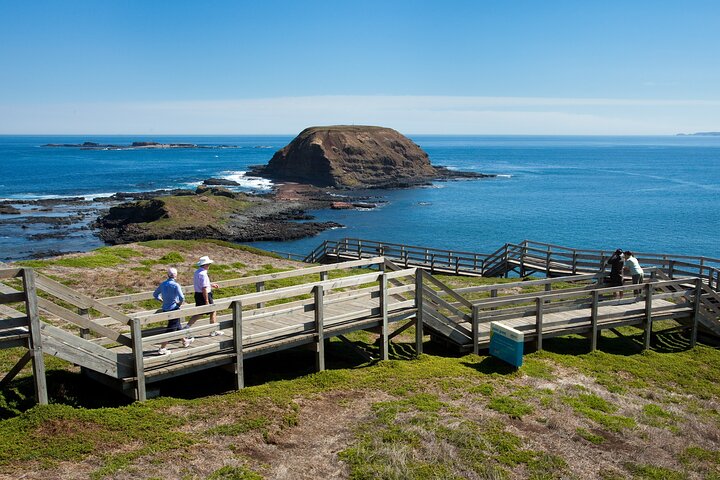 Phillip Island Penguin Parade express tour from Melbourne