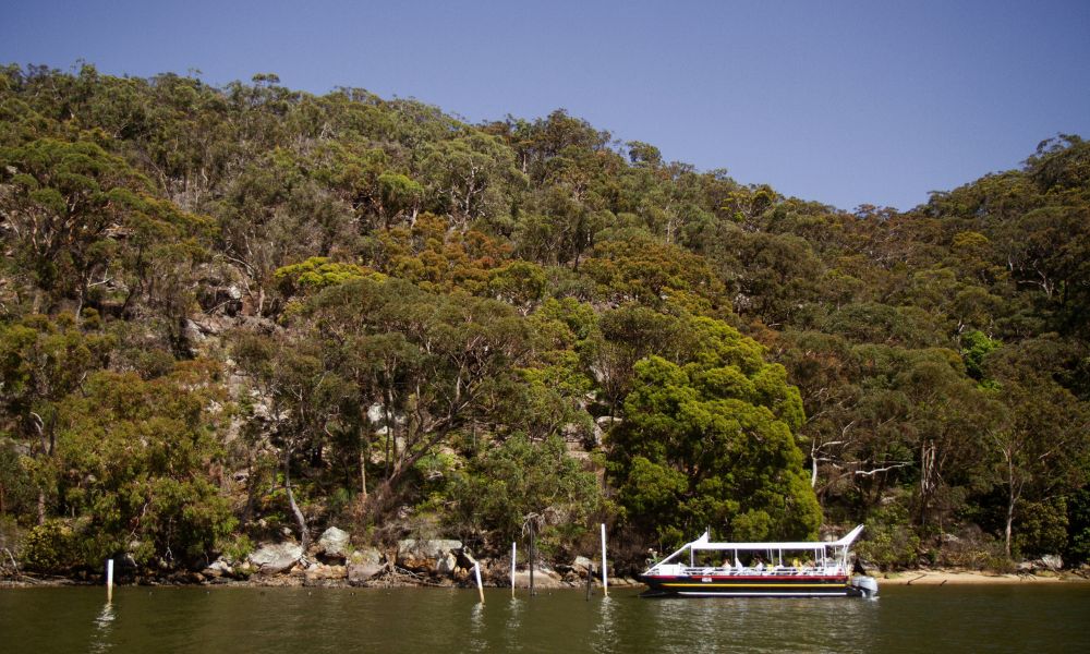 Broken Bay Pearl Farm River Cruise with Oyster Tasting