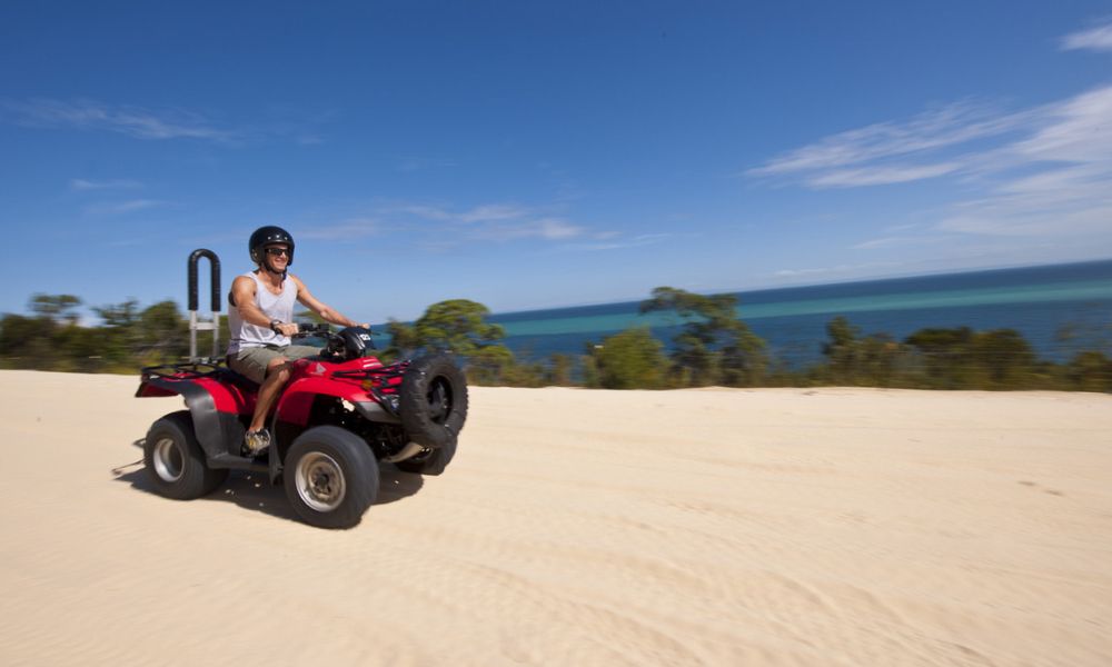 Tangalooma Island Resort Day Cruise, Dolphin Feeding and Quad Bike Tour