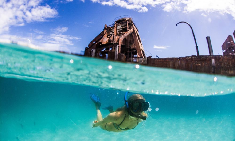 Tangalooma Island Resort Day with Snorkelling and Dolphin Feeding