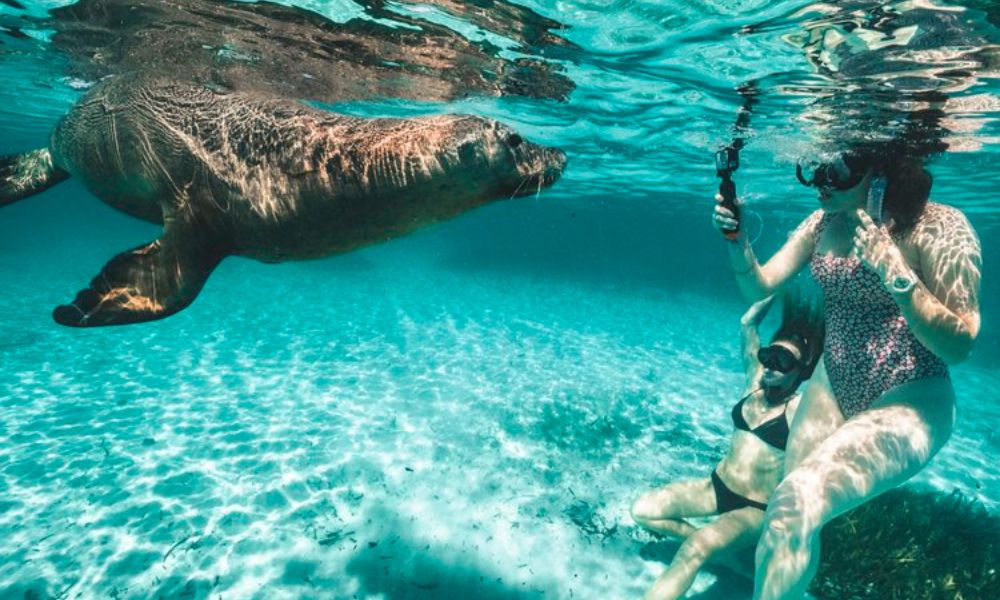 Shoalwater Islands Snorkelling Cruise with Lunch