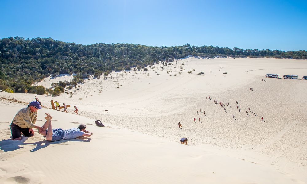 Tangalooma Island Resort Day Cruise, Dolphin Feeding and Desert Safari Tour