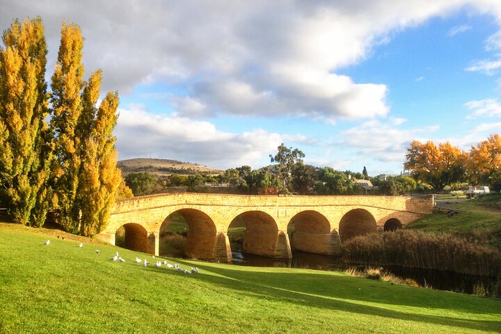 10 Day Guided Tour of Tasmania