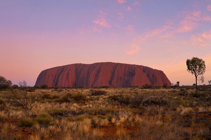 Uluru Kata Tjuta 1 Day 1 Night Outback Experience from Ayers Rock