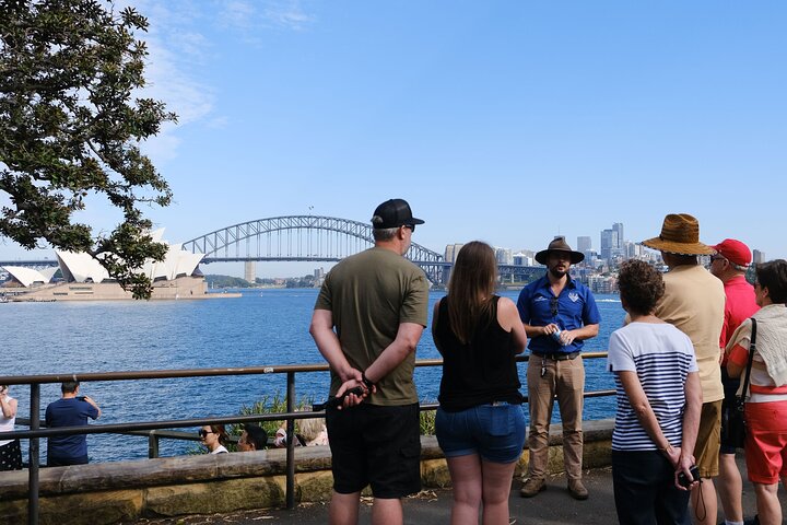 Sydney Combo: Morning Sightseeing to Bondi & Harbour Lunch Cruise