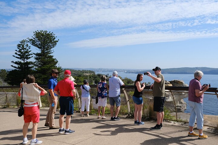 Sydney Combo: Morning Sightseeing to Bondi & Harbour Lunch Cruise