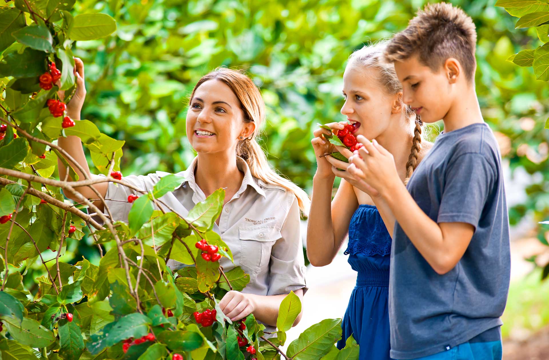 Tropical Fruit World Shuttle Service