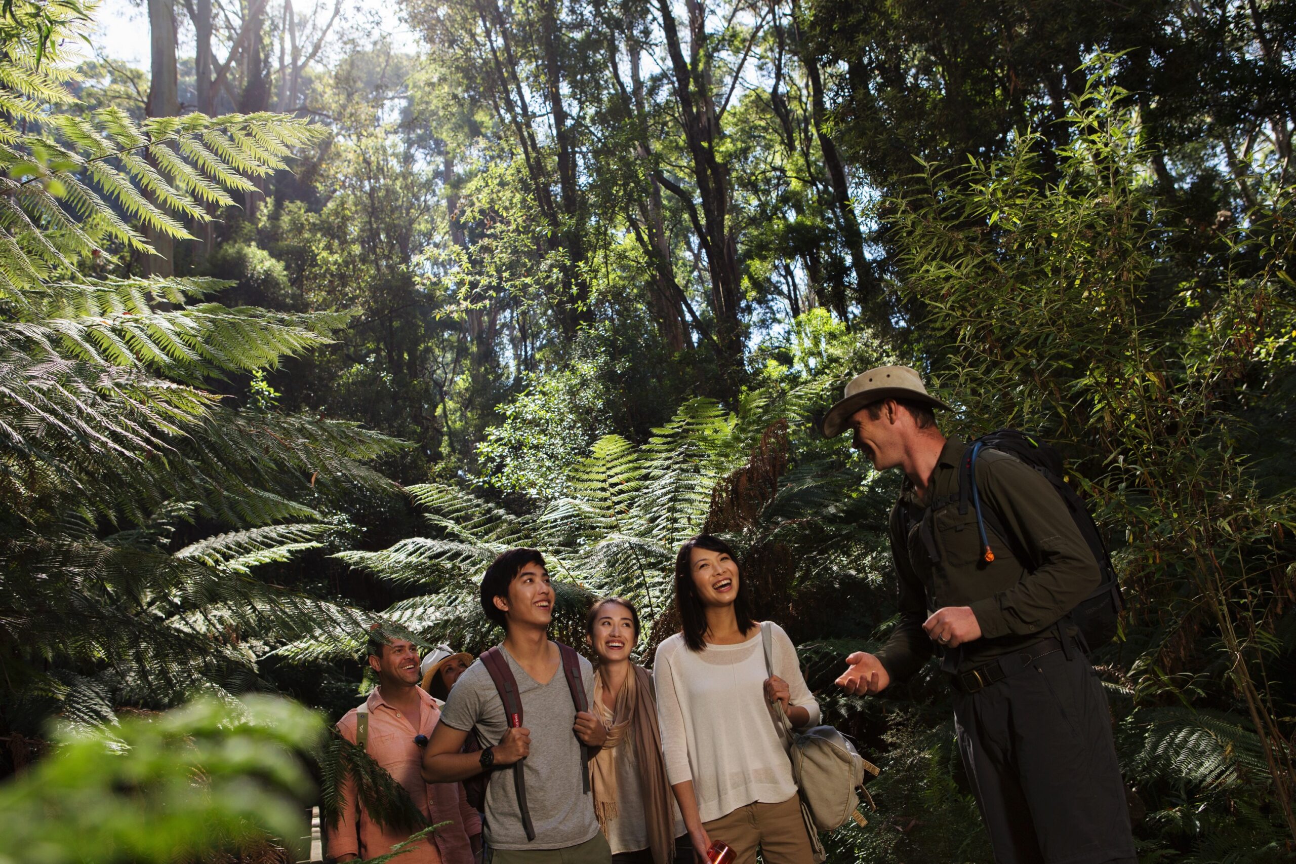 Explore Great Ocean Road & 12 Apostles (CPickup)