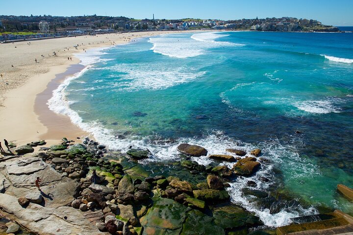 Private Sydney To Bondi Beach Half Day Tour