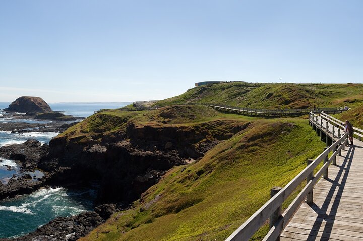 Phillip Island Penguin Parade express tour from Melbourne