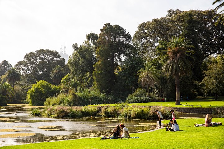 Melbourne City Discovery Tour