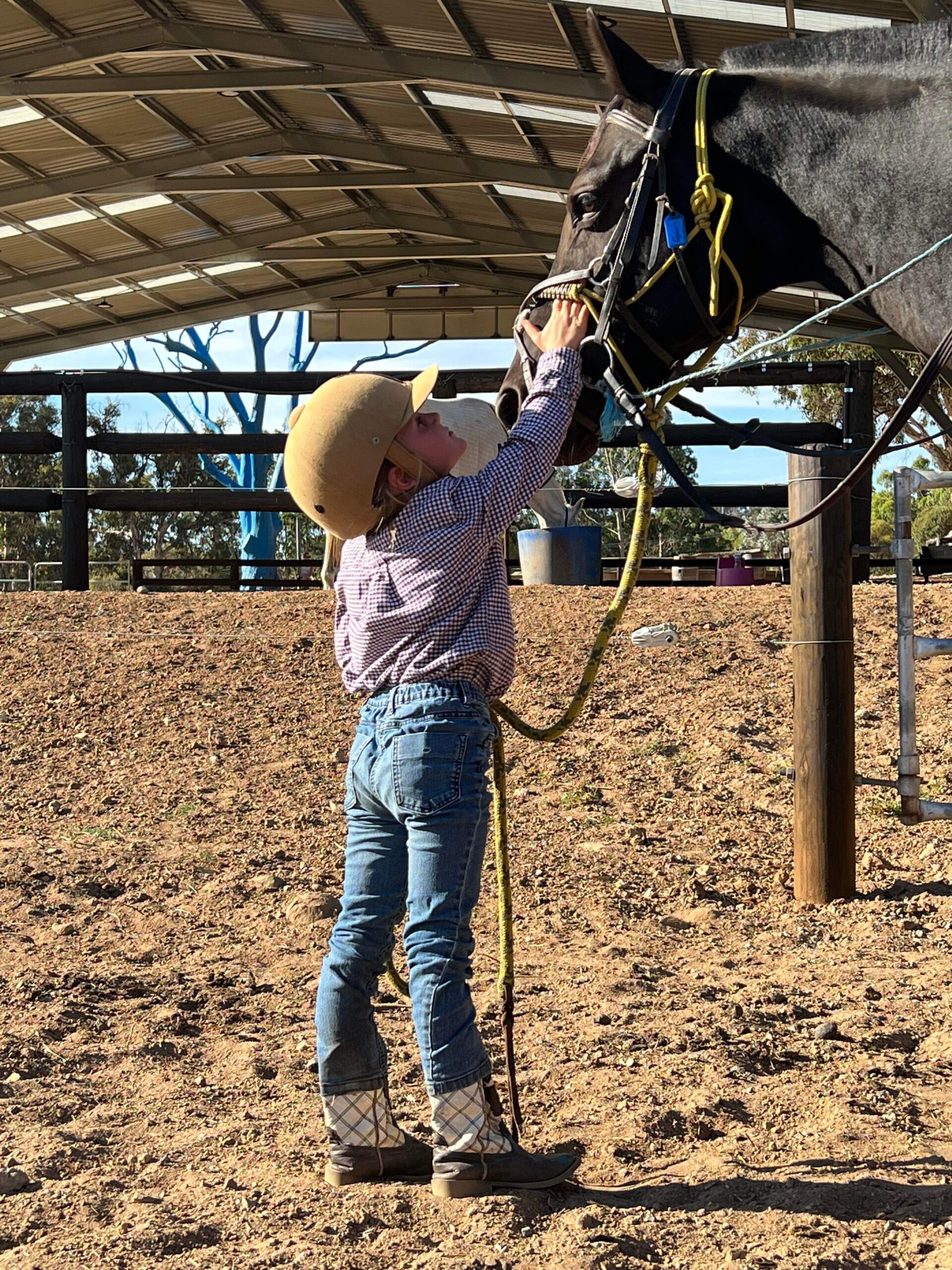 Tiny Tots (3-6yo)  Private Horse Riding Lesson (30 mintues)