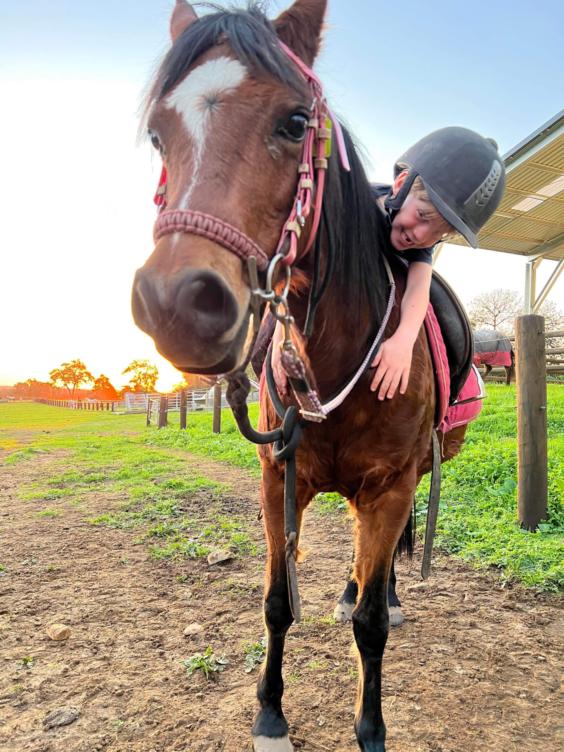 Tiny Tots (3-6yo)  Private Horse Riding Lesson (30 mintues)