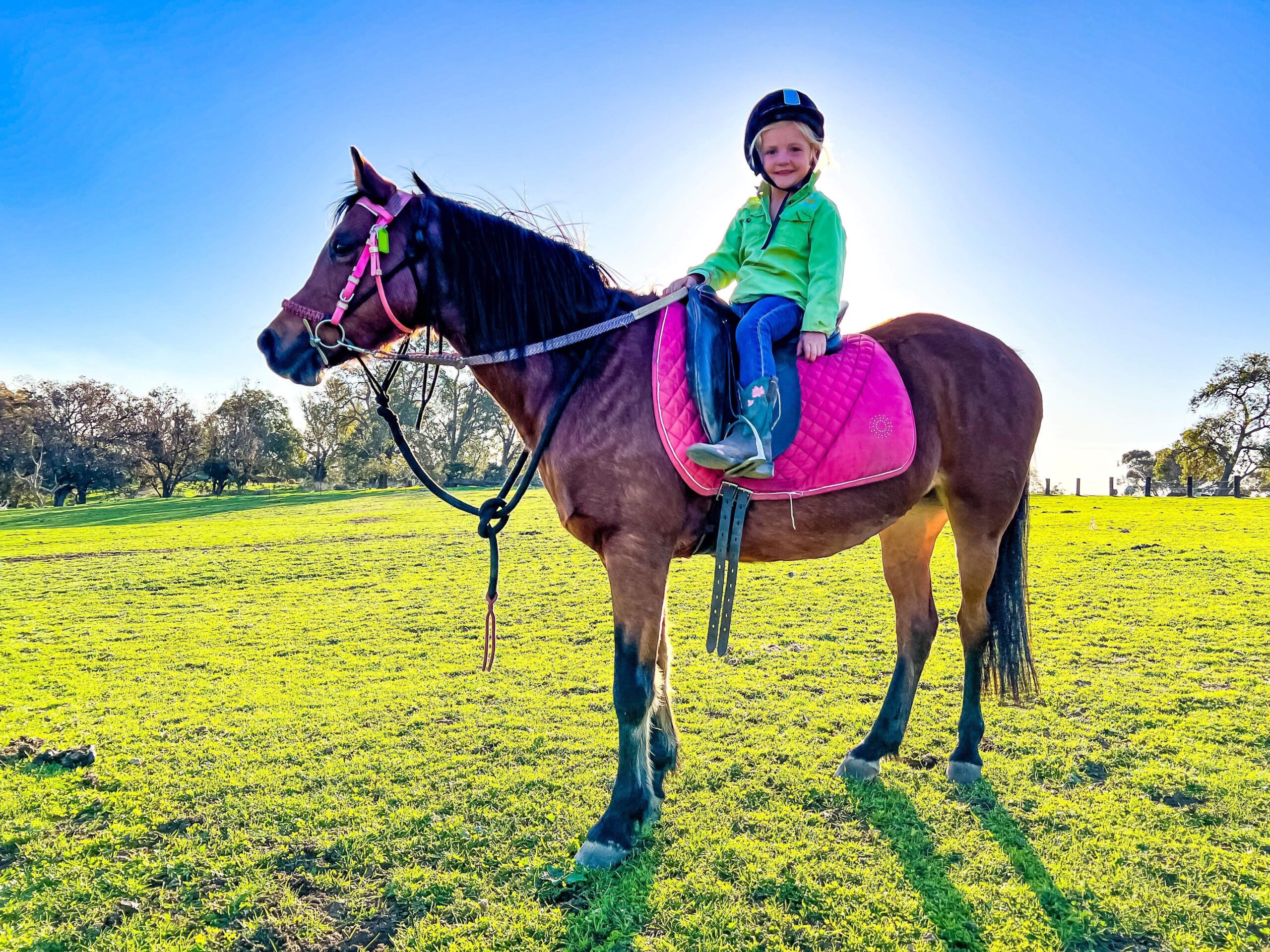 Tiny Tots (3-6yo)  Private Horse Riding Lesson (30 mintues)