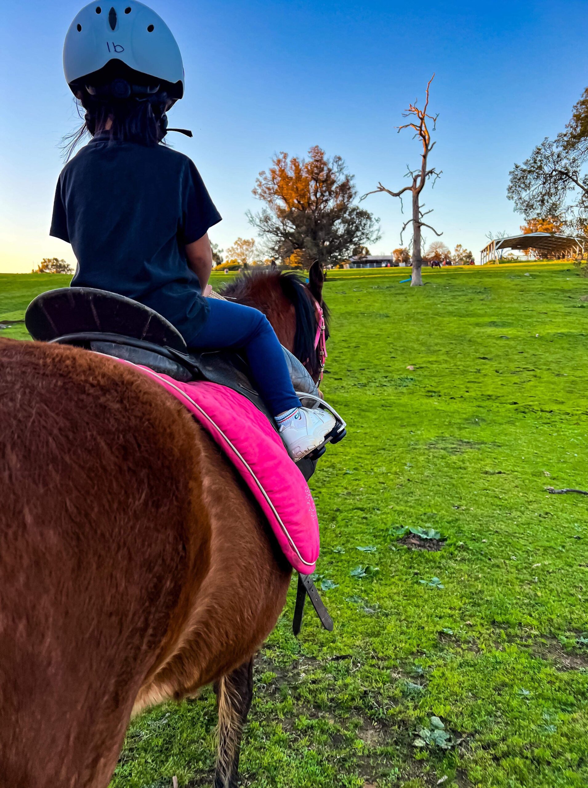 Tiny Tots (3-6yo)  Private Horse Riding Lesson (30 mintues)