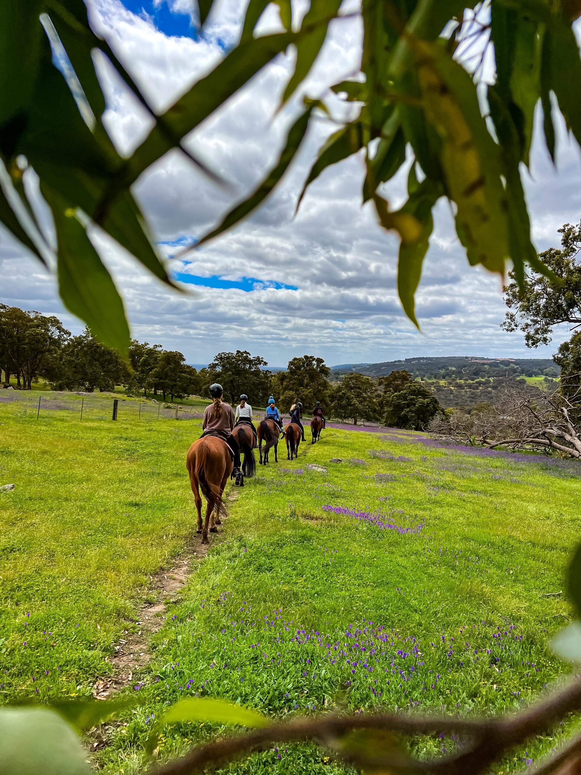 Horse Camp - 18/1/24