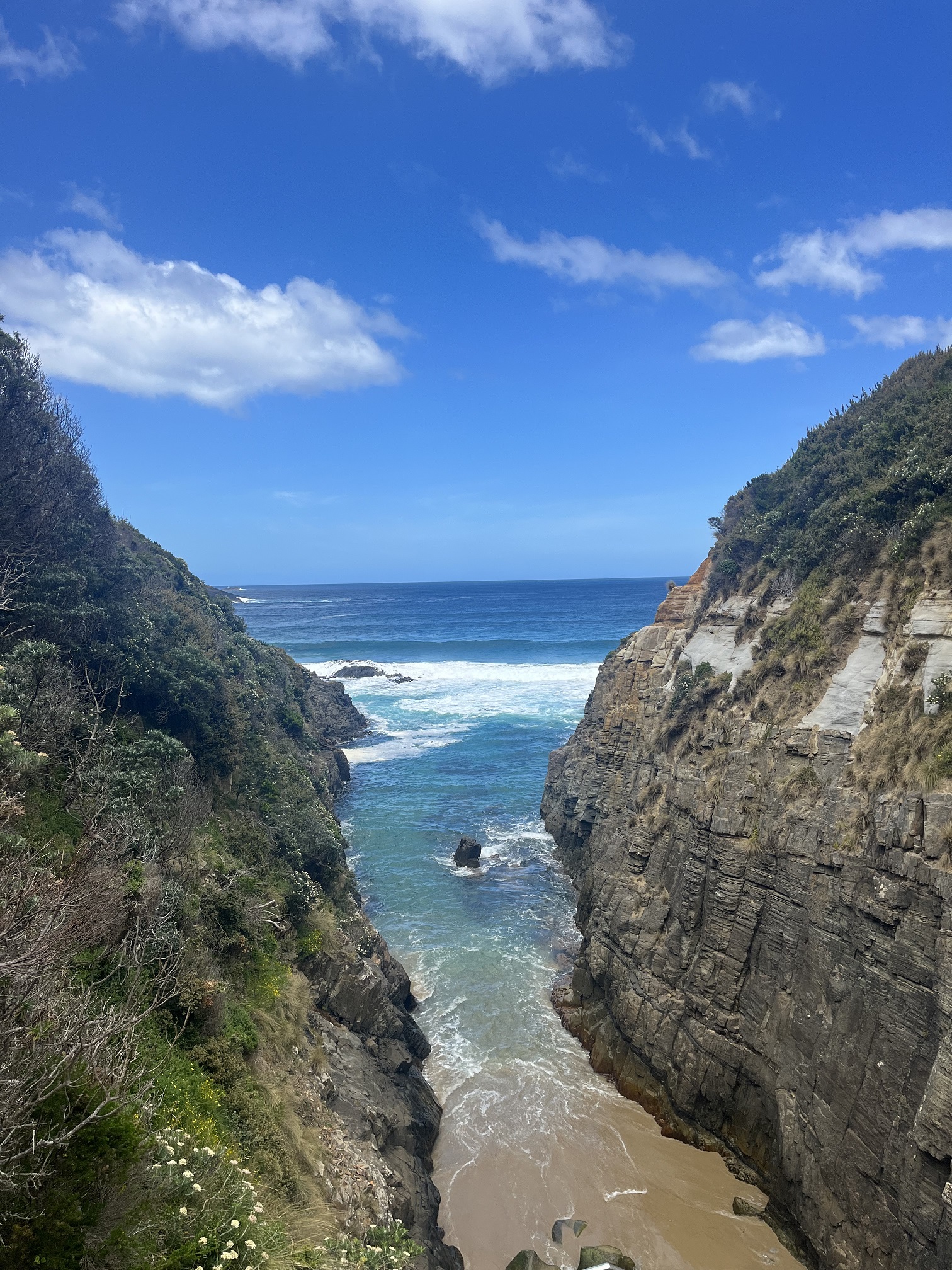 Tasman Peninsula Walking day tour