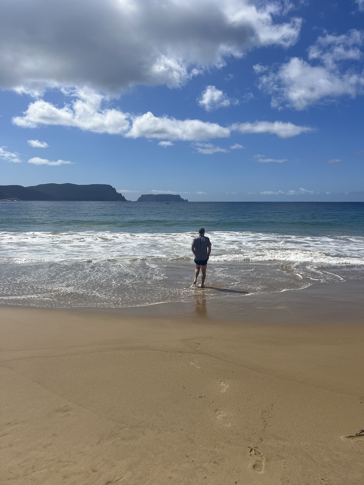 Tasman Peninsula Walking day tour