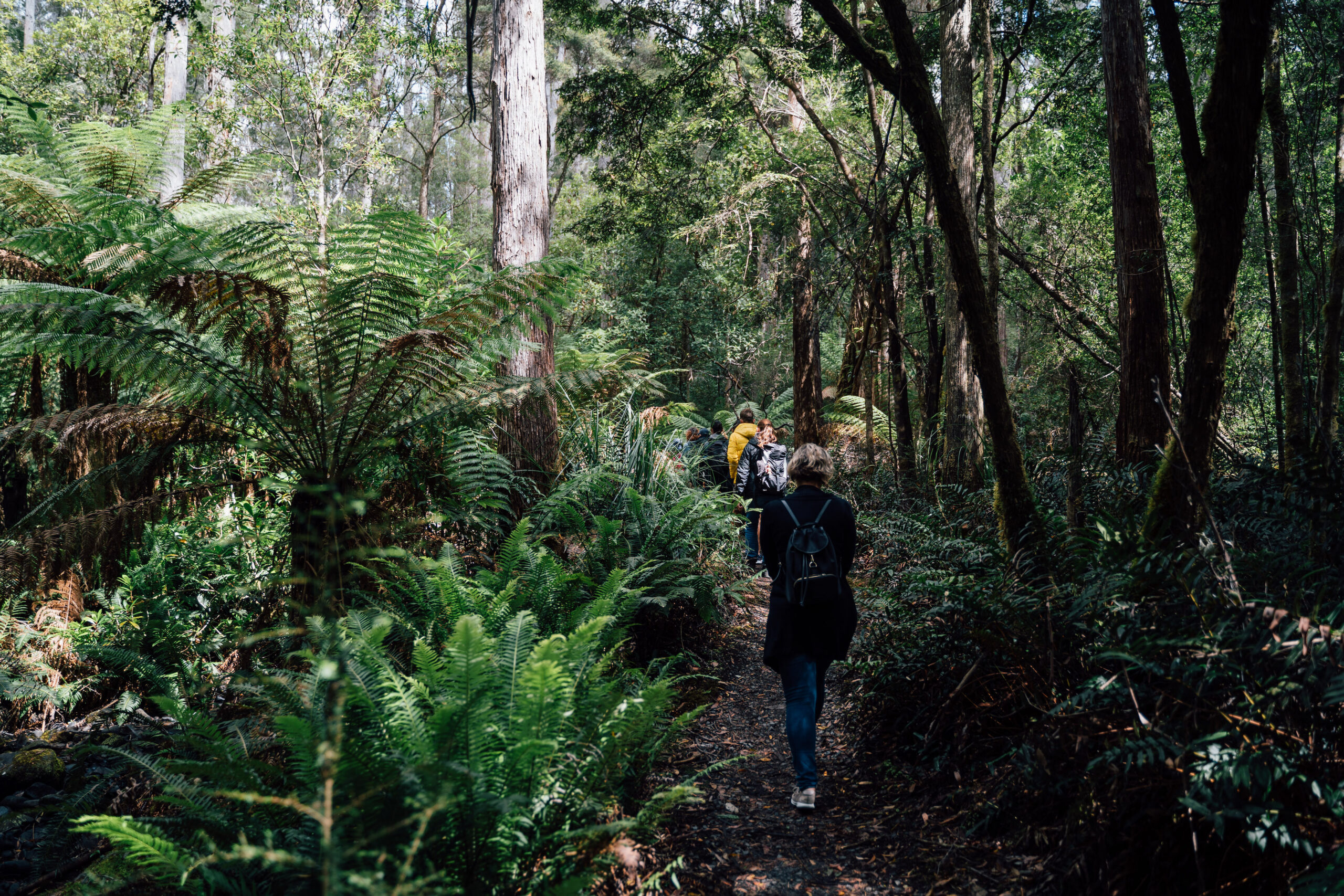 Private Tour of Hobart and Surrounds