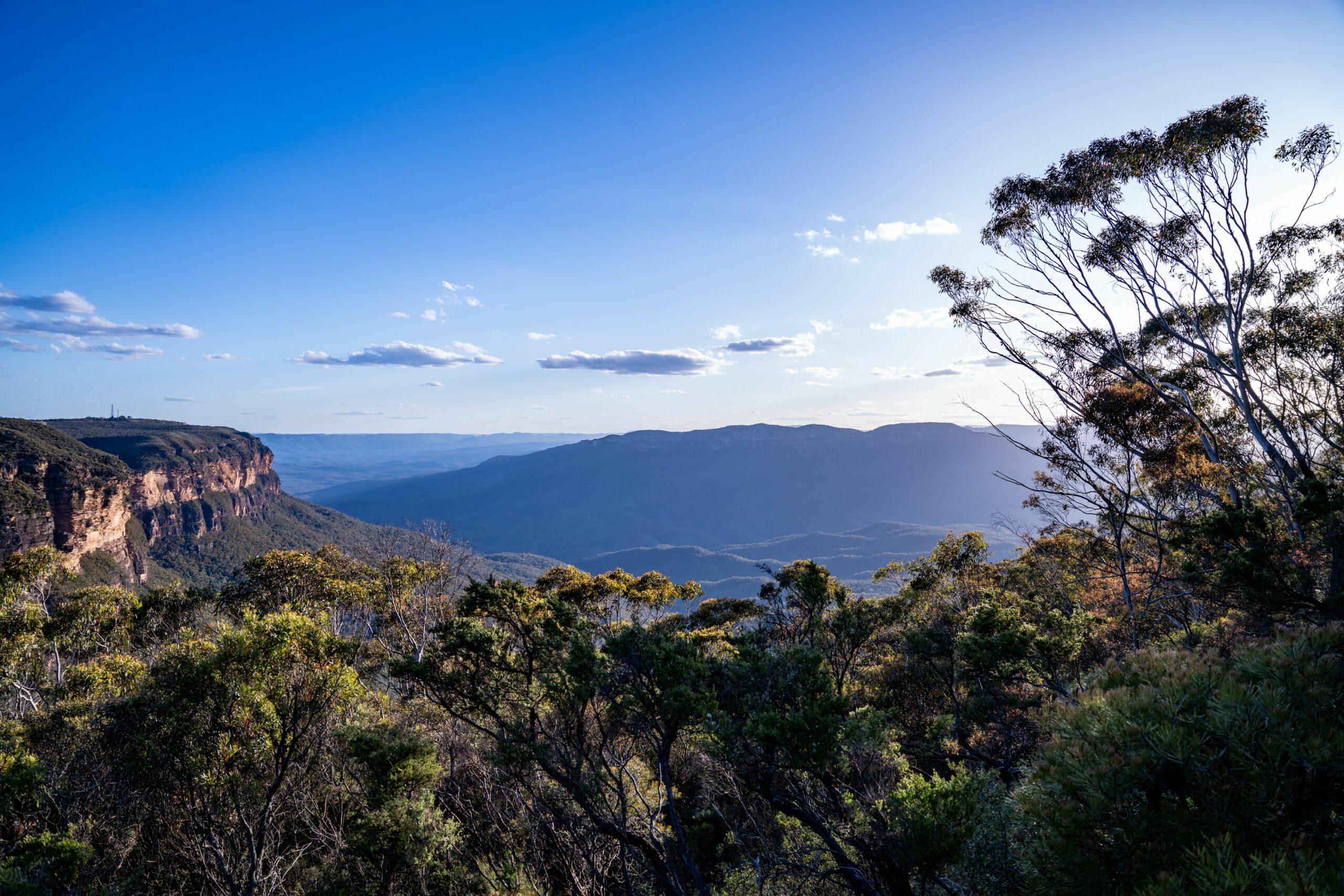 Blue Mountains Twilight & Stargazing Tour with Transport