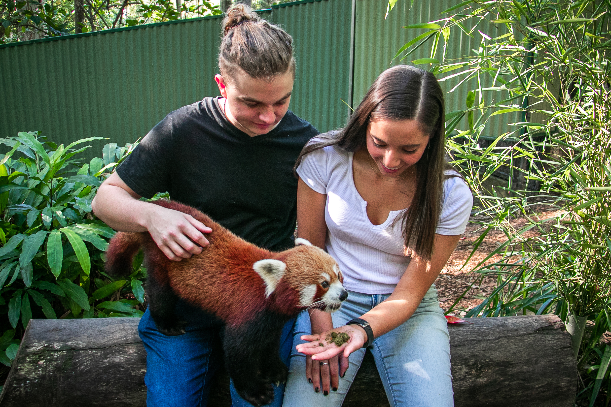 Currumbin Wildlife Sanctuary Shuttle Service