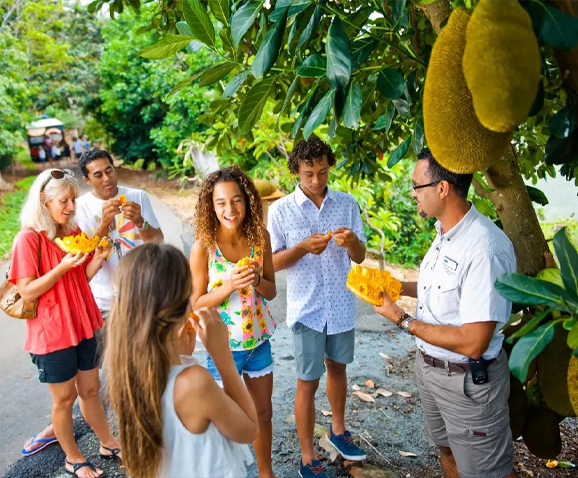 Tropical Fruit World Shuttle Service