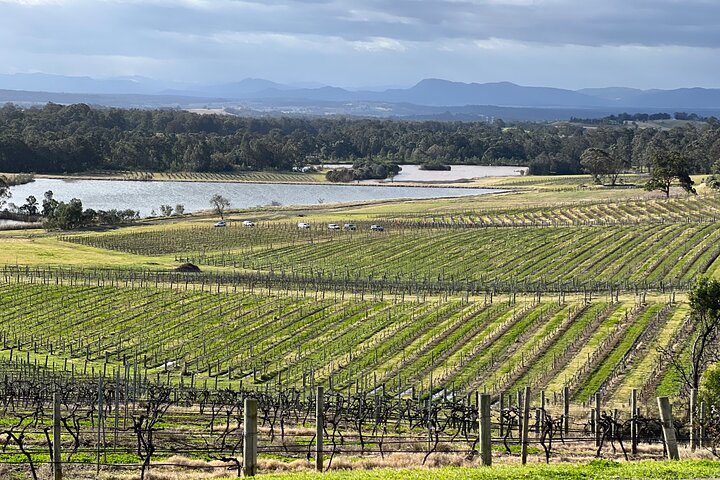 Private Hunter Valley Wine Day Tour from Sydney