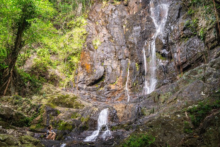 Wonderfull Waterfall Daintree Morning Walk and Magical Swim