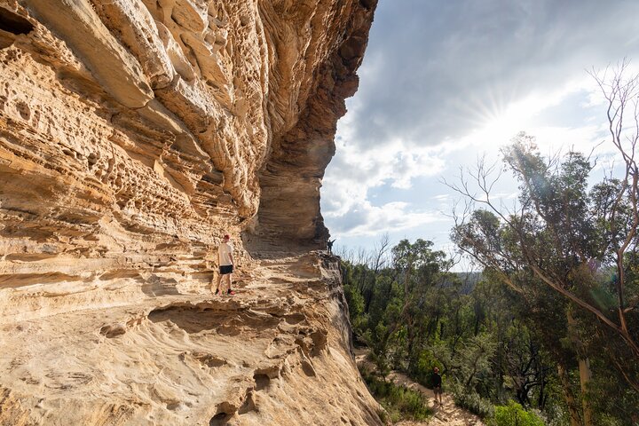 Guided Walking Tour in the Blue Mountains - Hidden Treasures