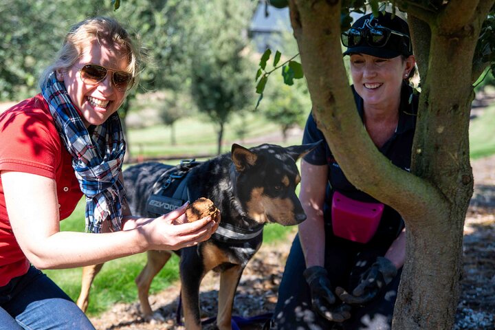 Truffle Hunt and Taste Experience in Oberon, NSW Australia