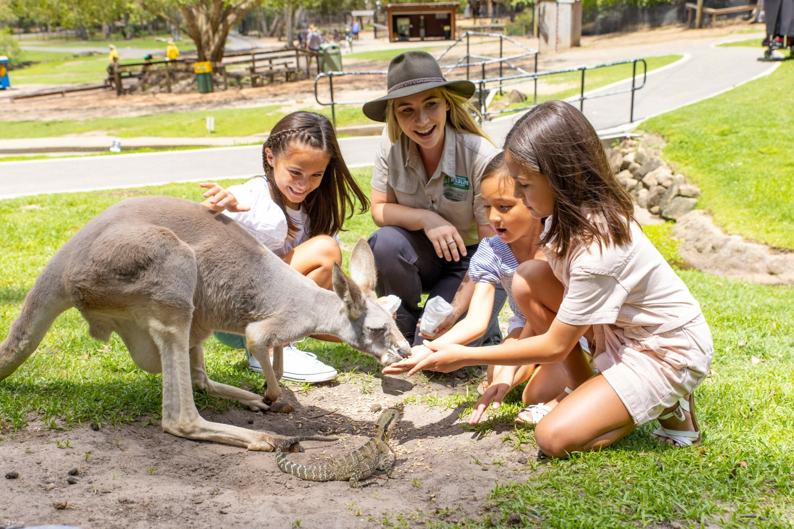 Currumbin Wildlife Sanctuary - Southern Gold Coast - Northern NSW - Hop on Hop off Shuttle