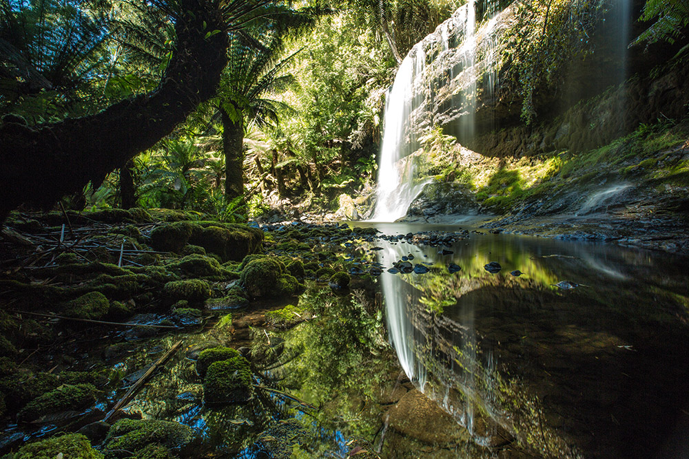 Private Tour of Hobart and Surrounds