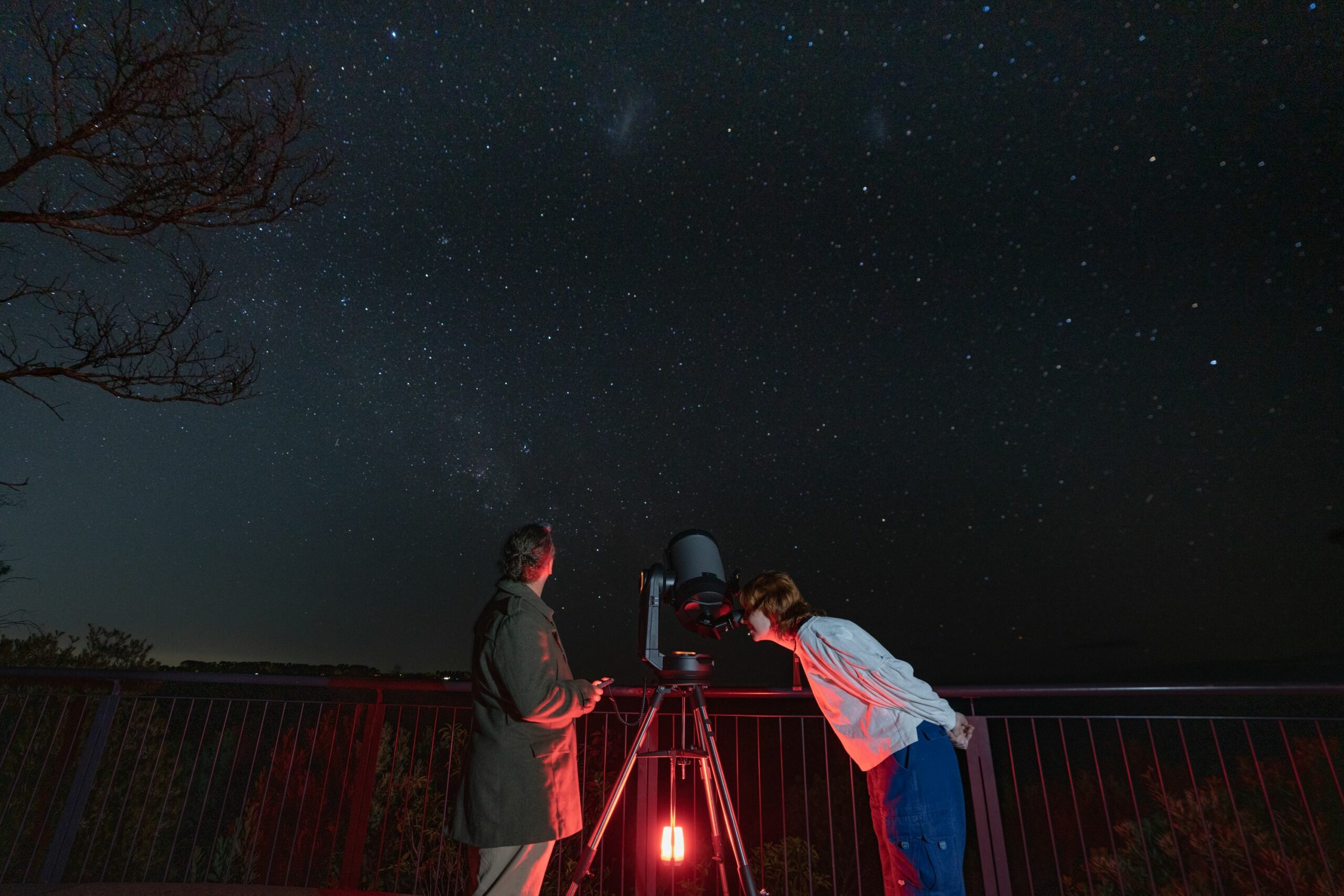 Blue Mountains Twilight & Stargazing Tour with Transport